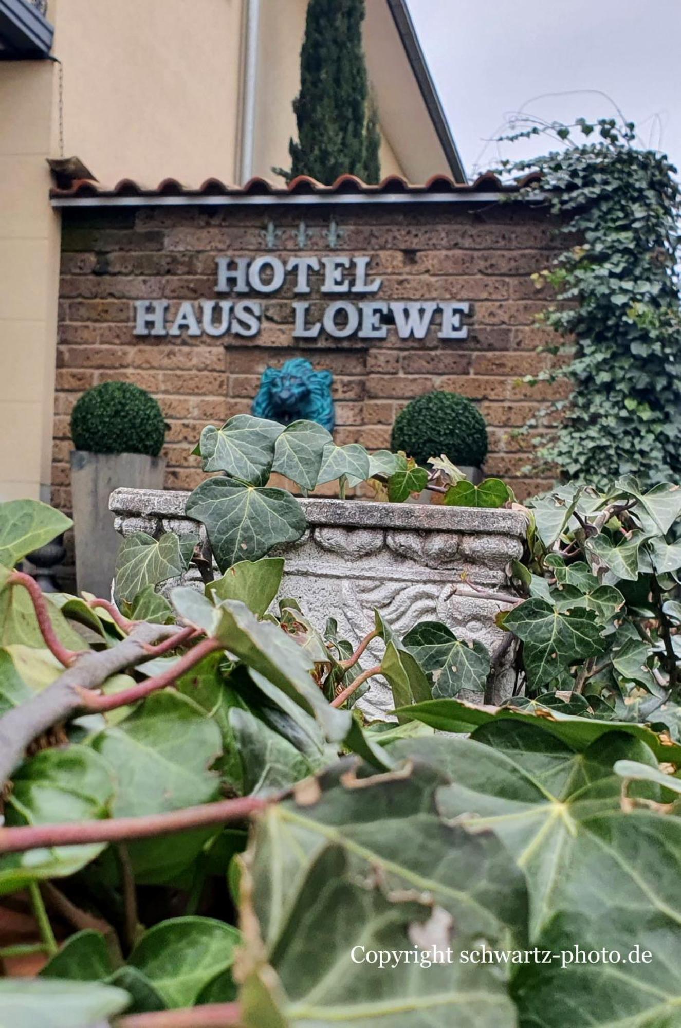Haus Loewe * Фрехен
